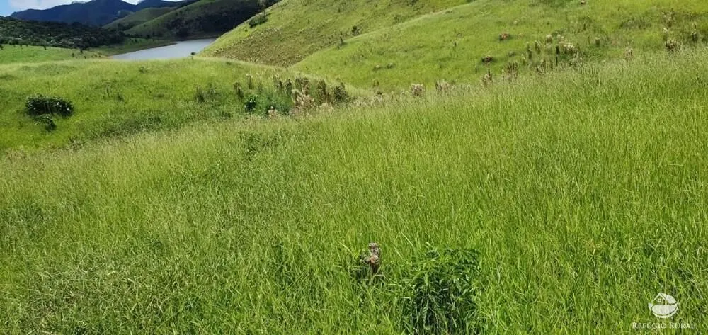 Fazenda à venda de 338 ha em Natividade da Serra, SP, Brasil