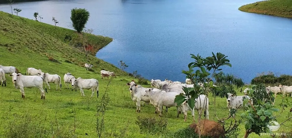 Fazenda à venda de 338 ha em Natividade da Serra, SP, Brasil