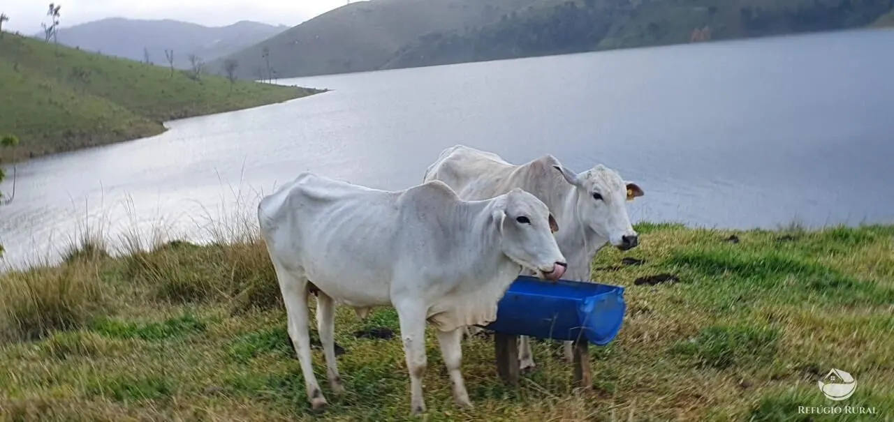 Fazenda à venda de 338 ha em Natividade da Serra, SP, Brasil