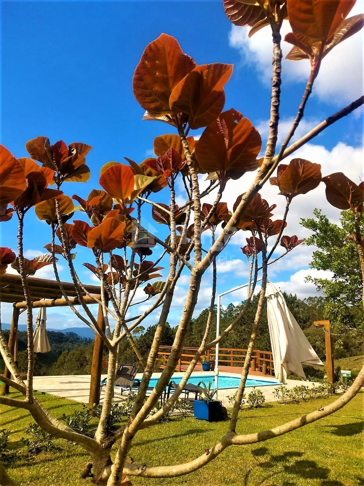 Country home for sale and to rent of 49 acres in Ibirama, SC, Brazil