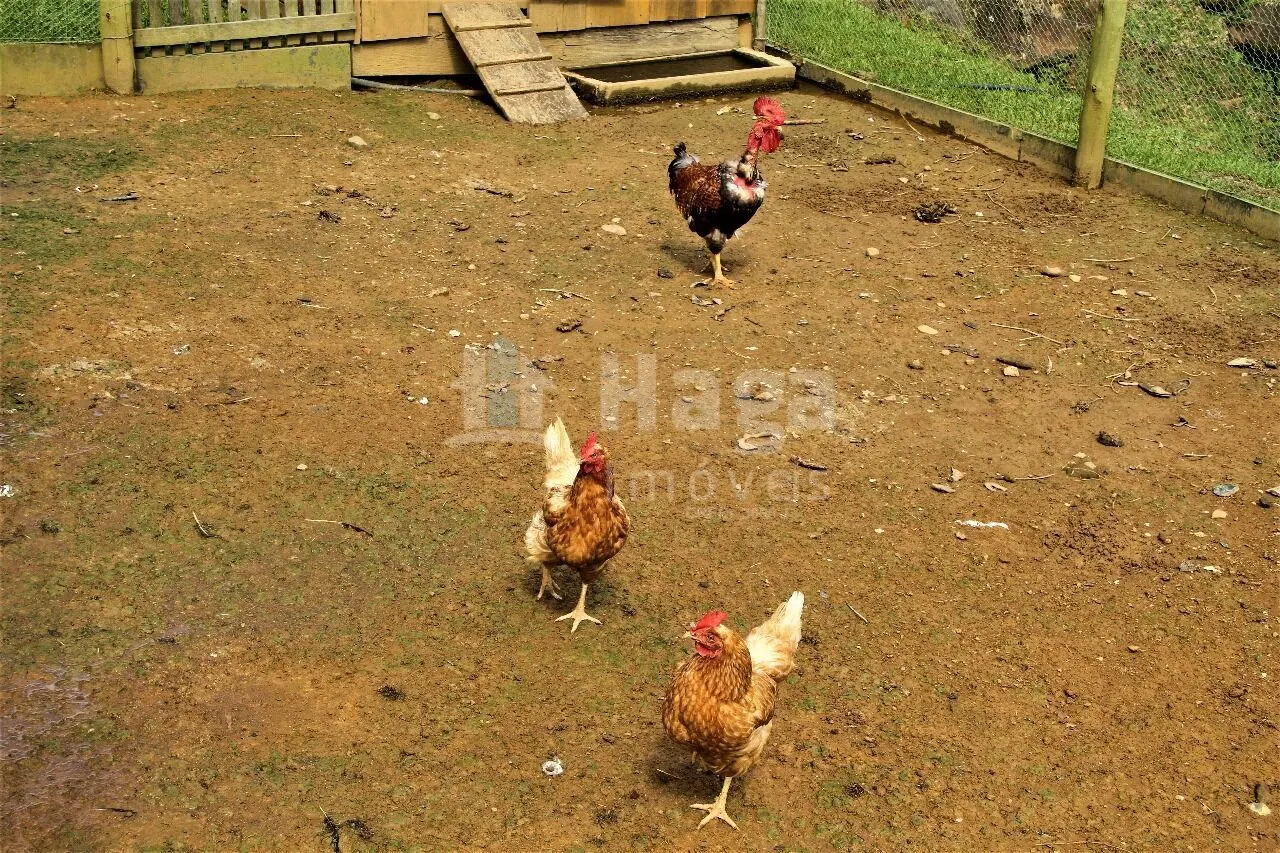 Country home for sale and to rent of 49 acres in Ibirama, SC, Brazil