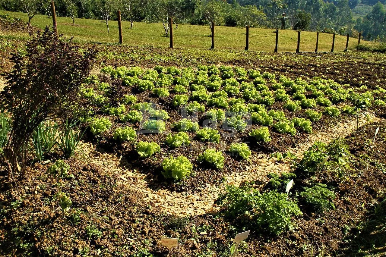 Country home for sale and to rent of 49 acres in Ibirama, SC, Brazil