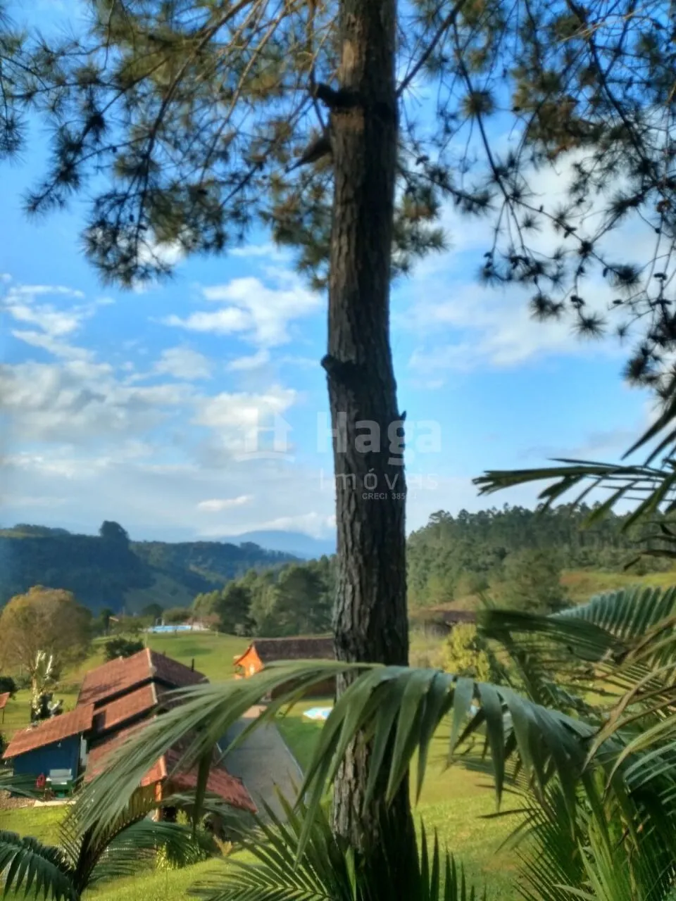 Country home for sale and to rent of 49 acres in Ibirama, SC, Brazil