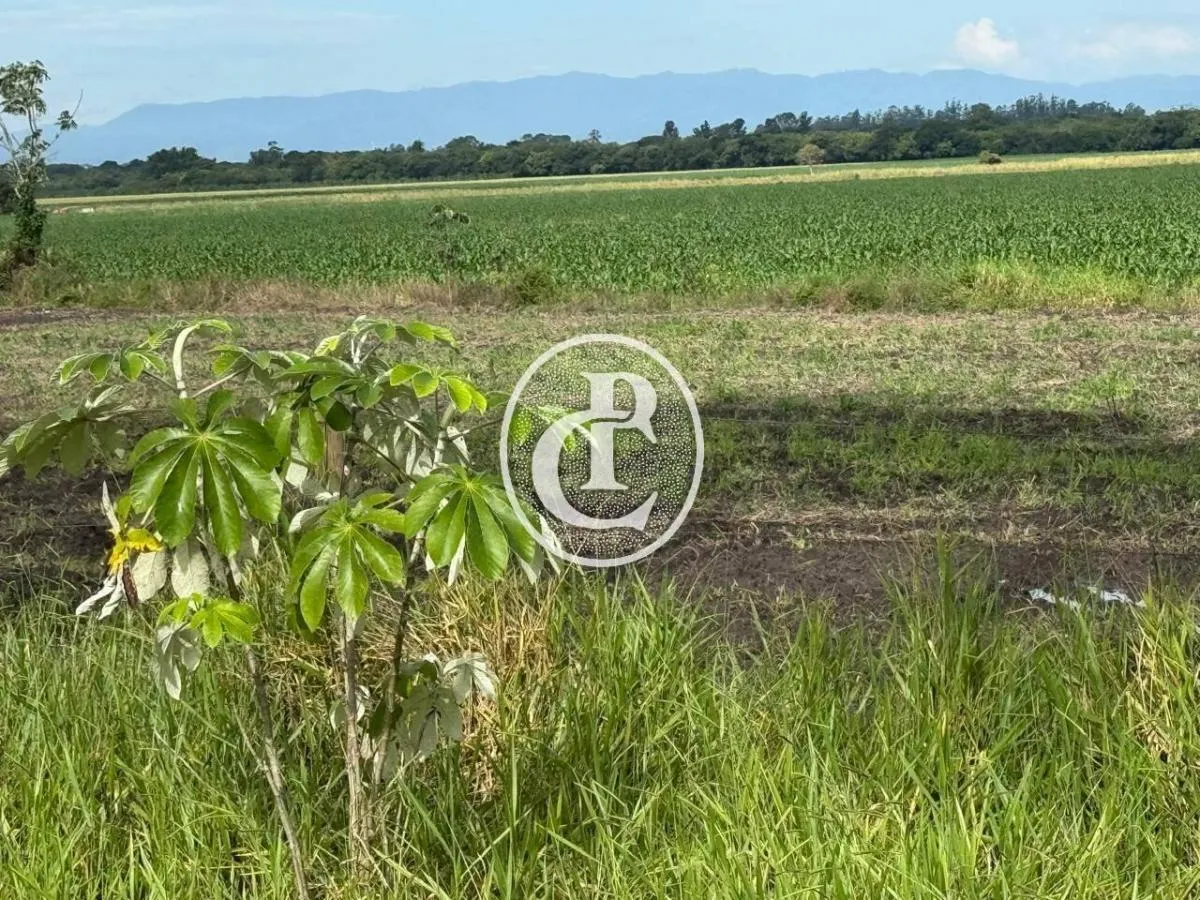 Fazenda à venda de 273 ha em Taubaté, SP, Brasil
