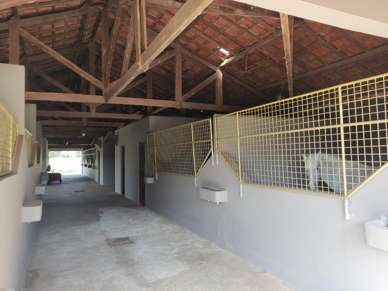 Fazenda à venda de 63 ha em Itapetininga, SP, Brasil