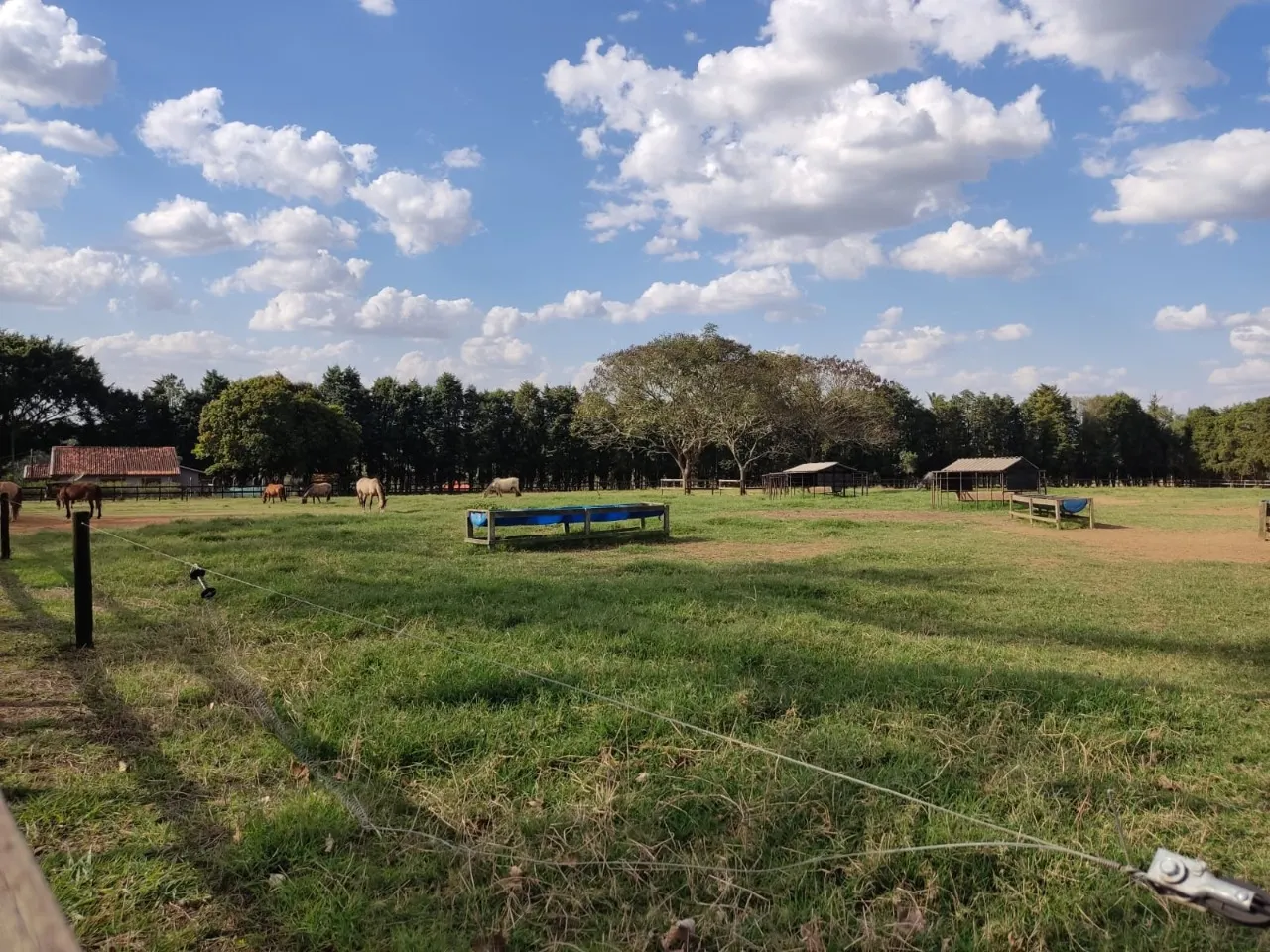 Fazenda à venda de 63 ha em Itapetininga, SP, Brasil