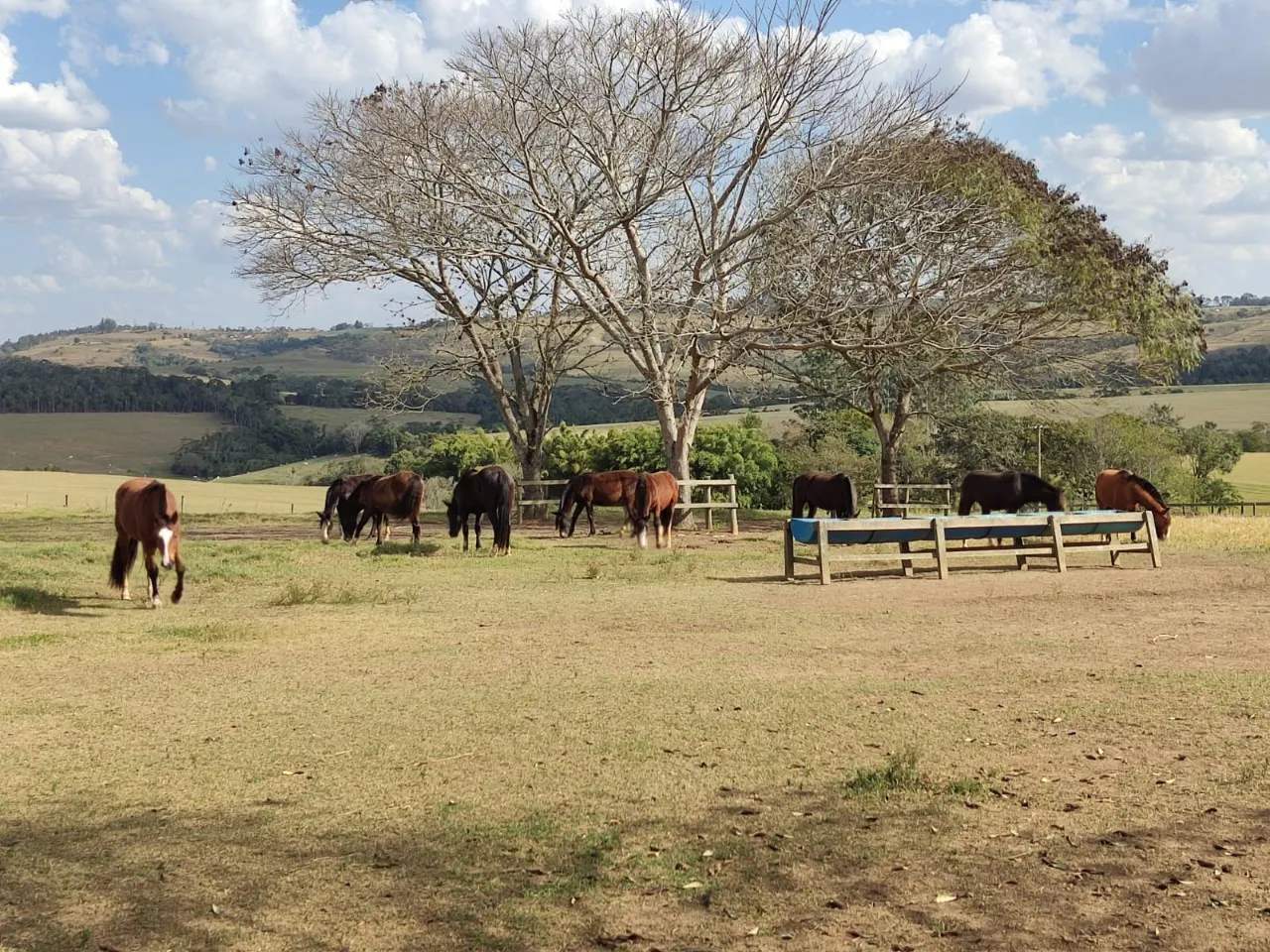 Fazenda à venda de 63 ha em Itapetininga, SP, Brasil