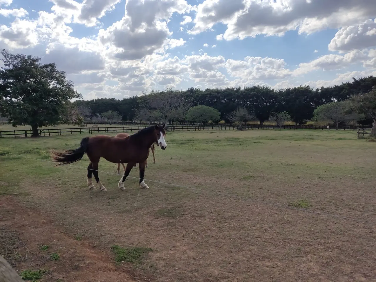 Fazenda à venda de 63 ha em Itapetininga, SP, Brasil
