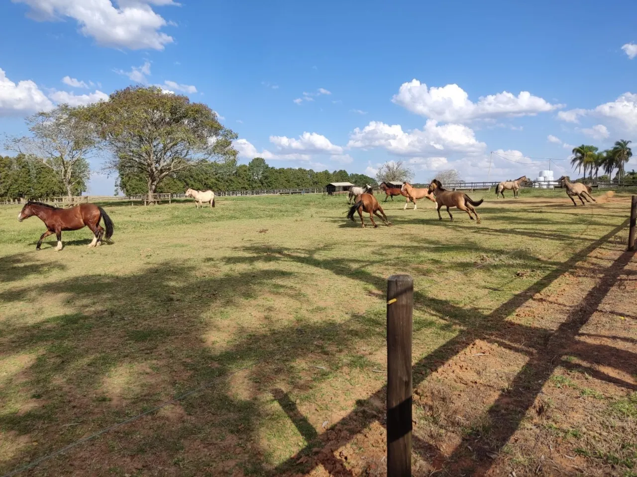 Fazenda à venda de 63 ha em Itapetininga, SP, Brasil
