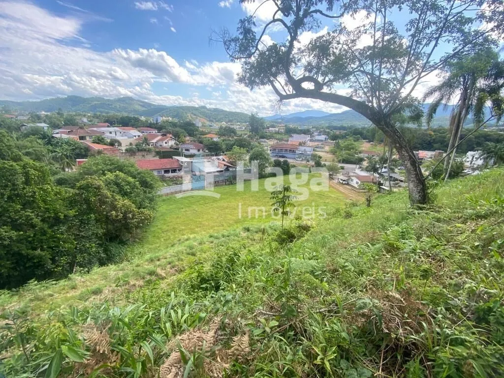 Terreno à venda e para Arrendar de 1 ha em São João Batista, SC, Brasil