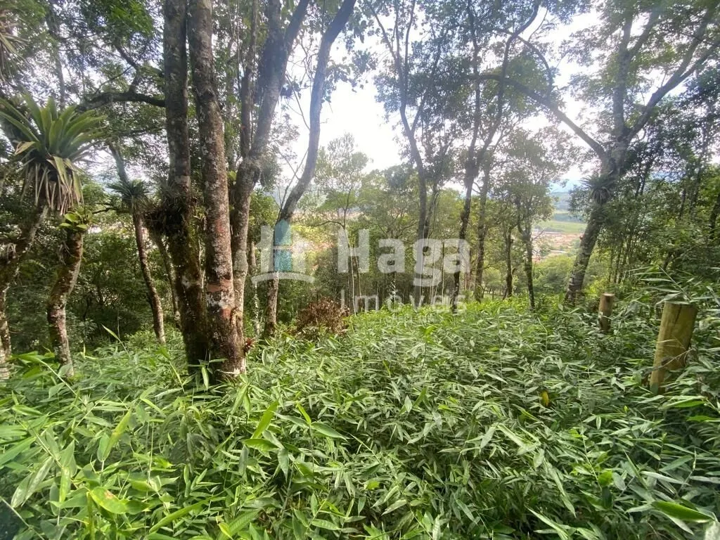 Terreno à venda e para Arrendar de 1 ha em São João Batista, SC, Brasil