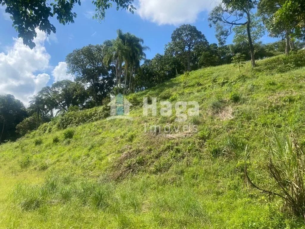 Terreno à venda e para Arrendar de 1 ha em São João Batista, SC, Brasil