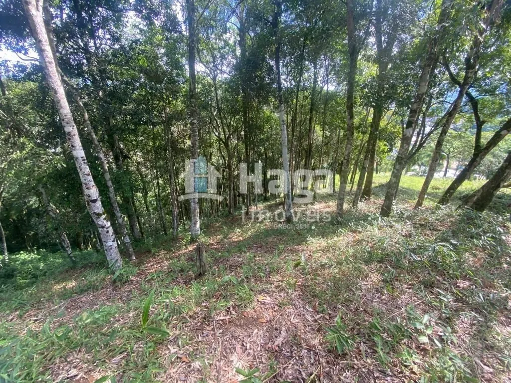 Terreno à venda e para Arrendar de 1 ha em São João Batista, SC, Brasil