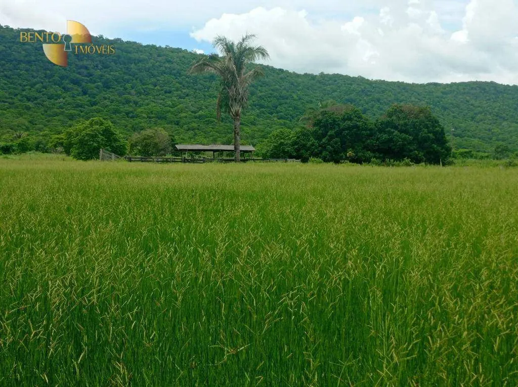 Fazenda à venda de 226 ha em Santo Antônio do Leverger, MT, Brasil