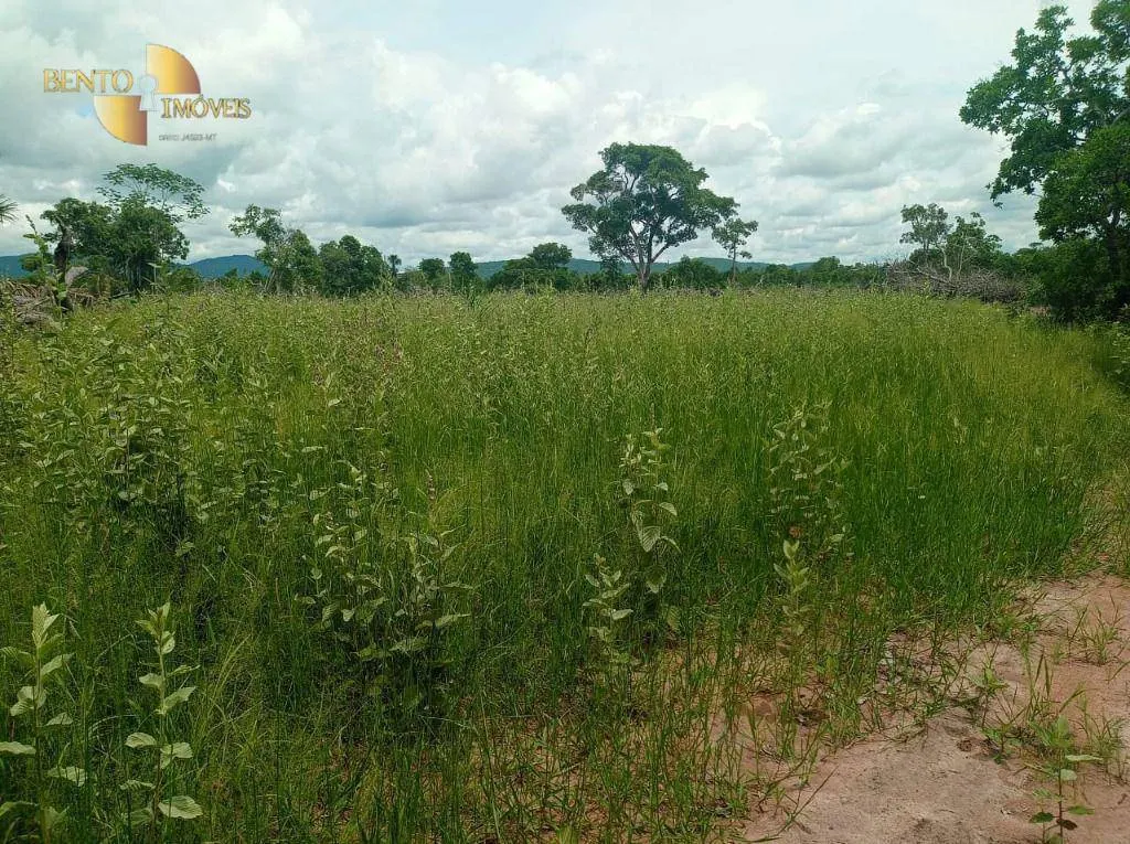 Fazenda à venda de 226 ha em Santo Antônio do Leverger, MT, Brasil