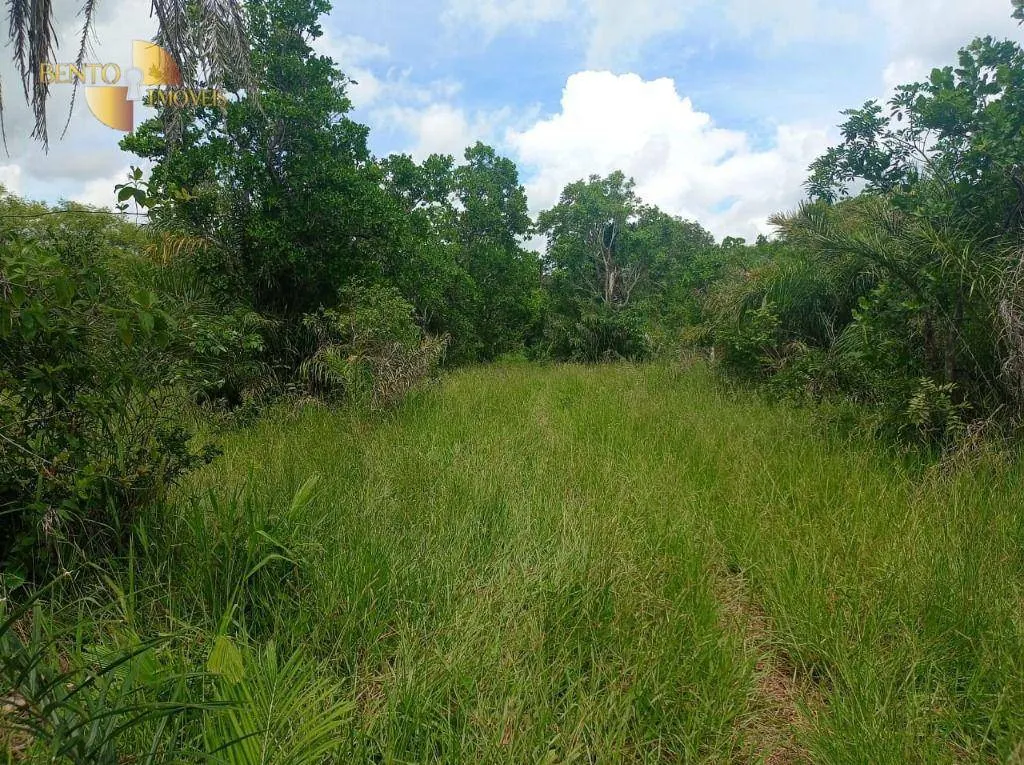 Fazenda à venda de 226 ha em Santo Antônio do Leverger, MT, Brasil