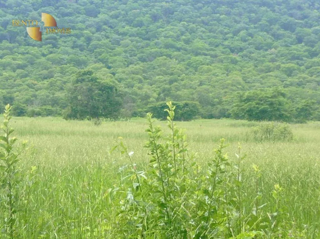 Fazenda à venda de 226 ha em Santo Antônio do Leverger, MT, Brasil