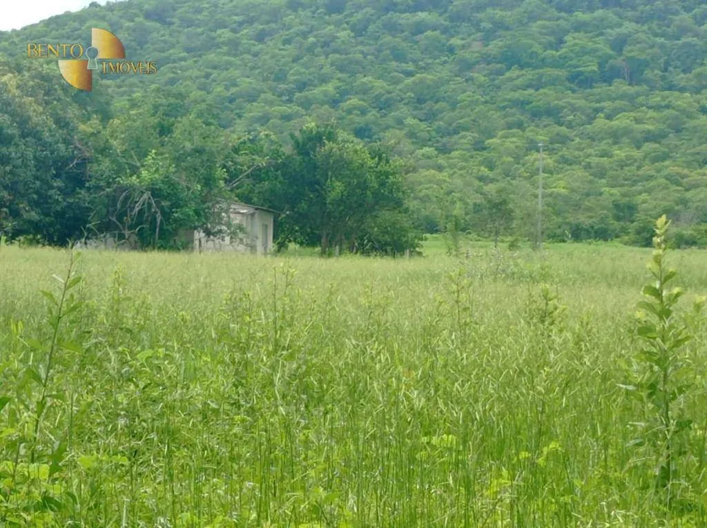 Fazenda à venda de 226 ha em Santo Antônio do Leverger, MT, Brasil