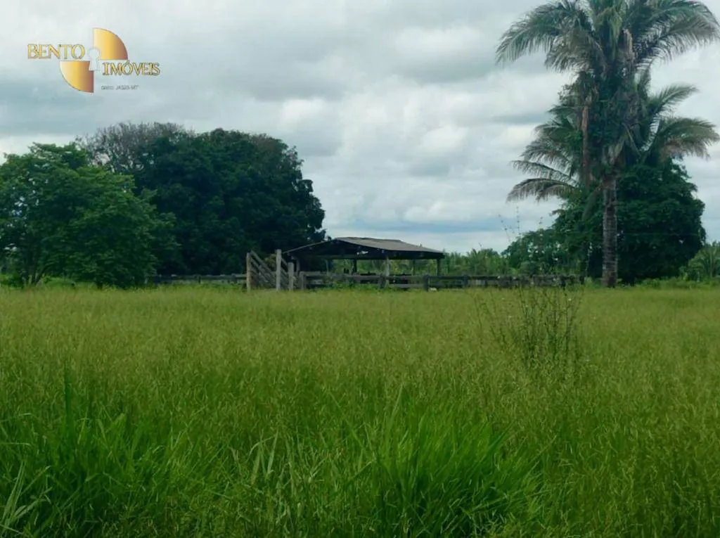 Fazenda à venda de 226 ha em Santo Antônio do Leverger, MT, Brasil