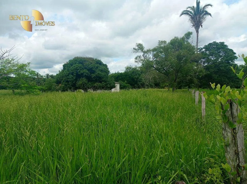 Fazenda à venda de 226 ha em Santo Antônio do Leverger, MT, Brasil