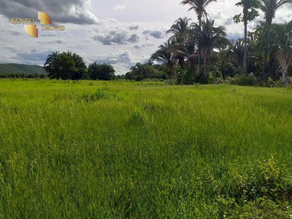 Fazenda à venda de 226 ha em Santo Antônio do Leverger, MT, Brasil