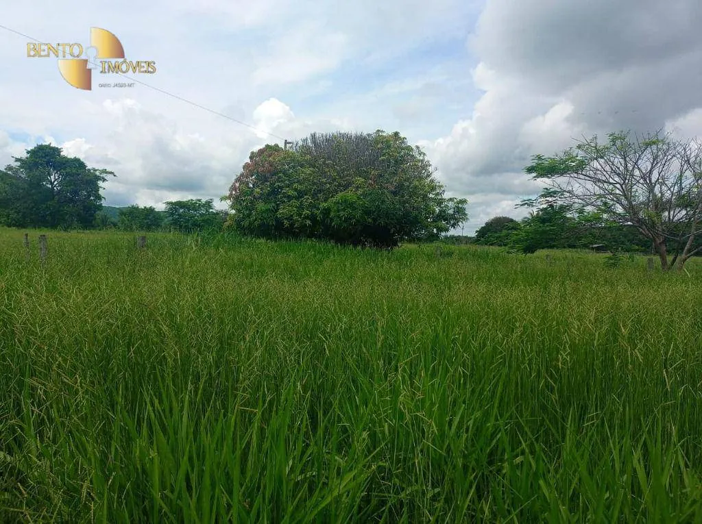 Fazenda à venda de 226 ha em Santo Antônio do Leverger, MT, Brasil