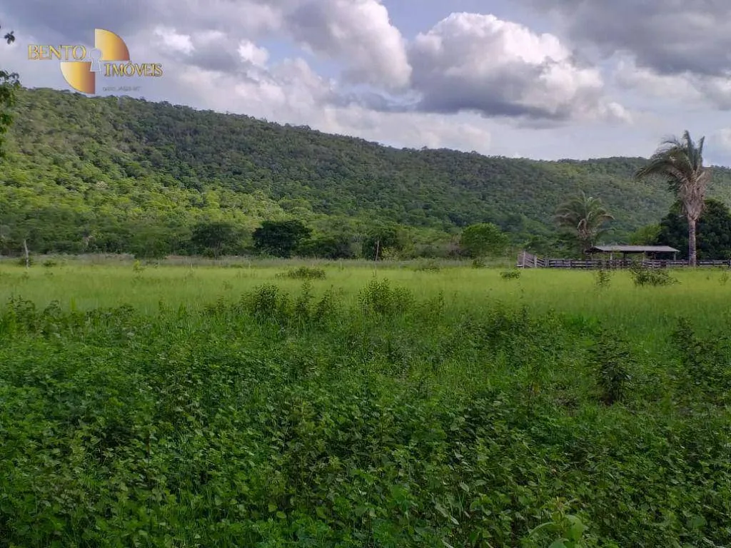 Fazenda à venda de 226 ha em Santo Antônio do Leverger, MT, Brasil