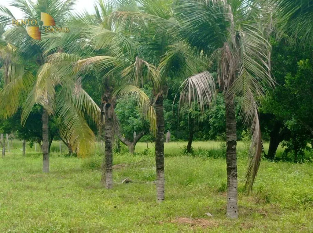 Fazenda à venda de 226 ha em Santo Antônio do Leverger, MT, Brasil