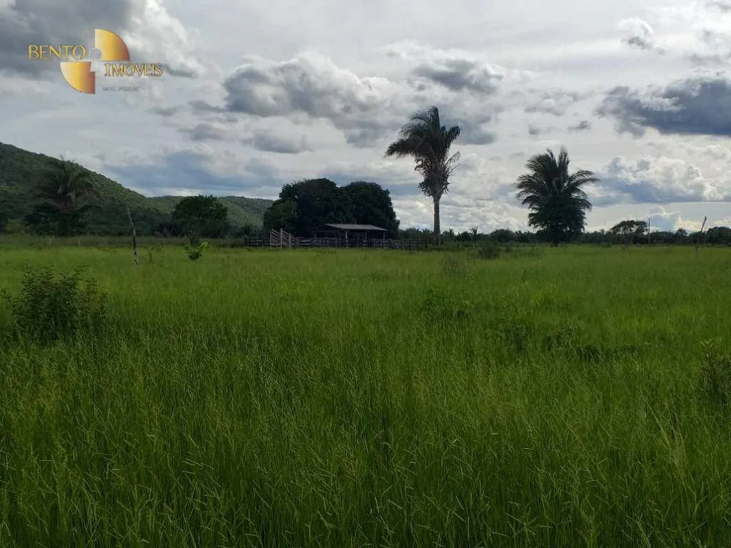 Fazenda à venda de 226 ha em Santo Antônio do Leverger, MT, Brasil