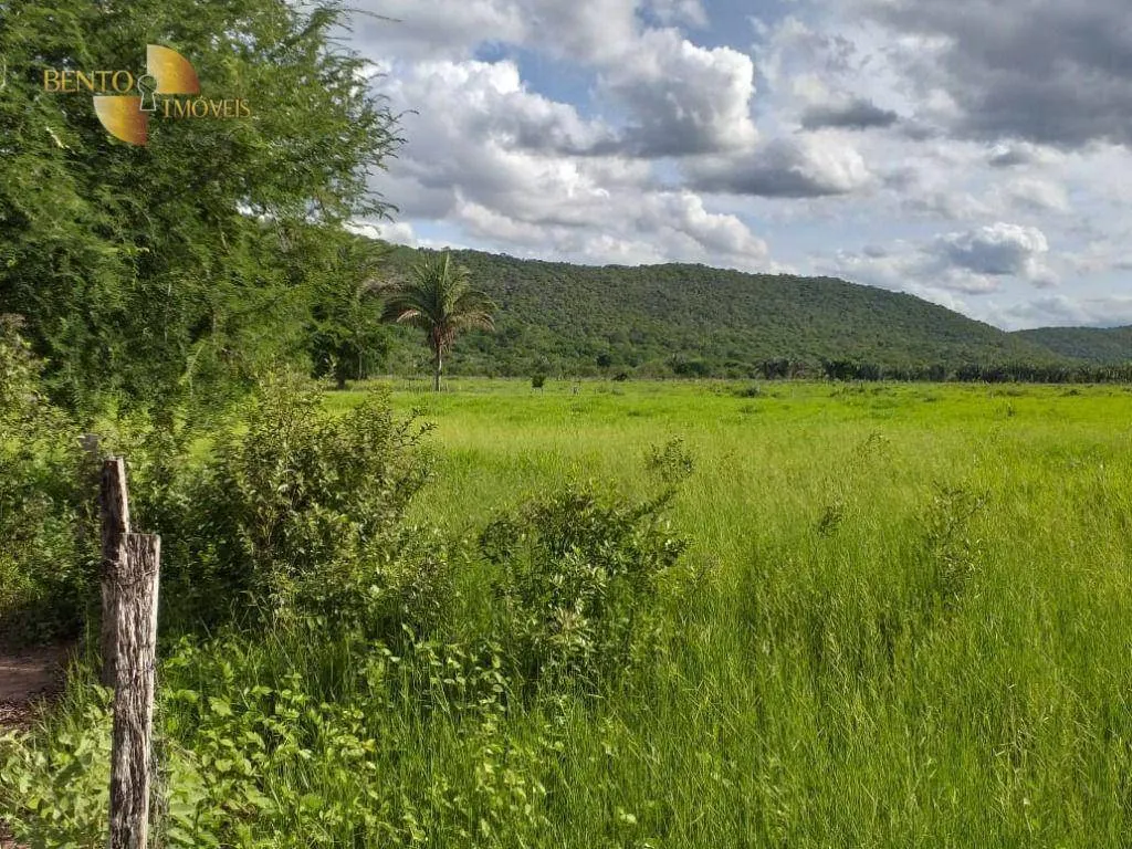 Fazenda à venda de 226 ha em Santo Antônio do Leverger, MT, Brasil