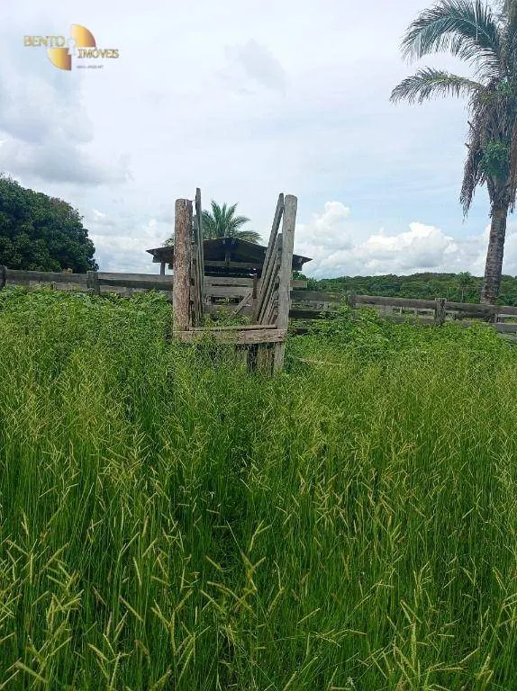 Fazenda à venda de 226 ha em Santo Antônio do Leverger, MT, Brasil