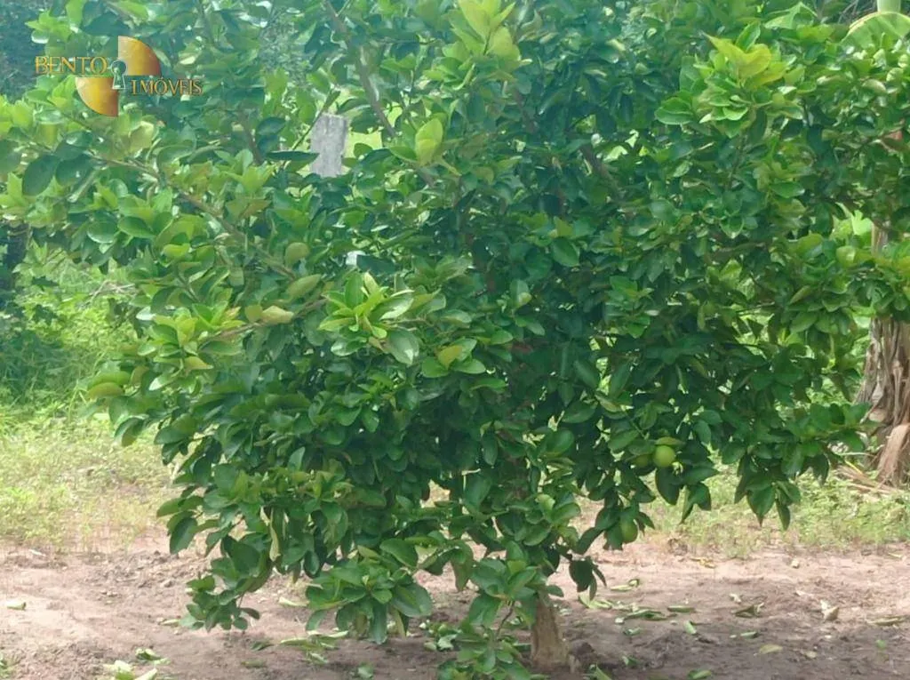 Fazenda à venda de 226 ha em Santo Antônio do Leverger, MT, Brasil