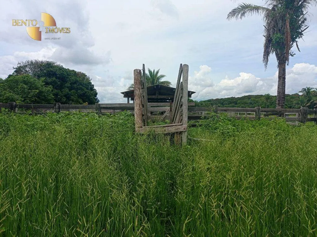 Fazenda à venda de 226 ha em Santo Antônio do Leverger, MT, Brasil
