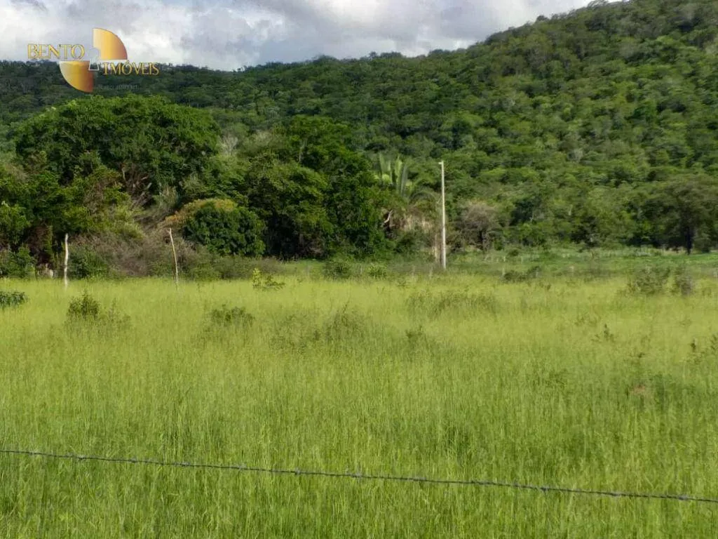 Fazenda à venda de 226 ha em Santo Antônio do Leverger, MT, Brasil