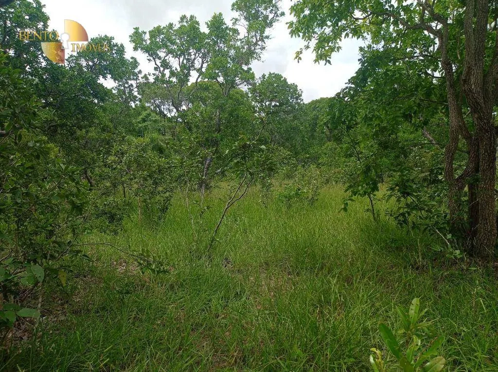 Fazenda à venda de 226 ha em Santo Antônio do Leverger, MT, Brasil