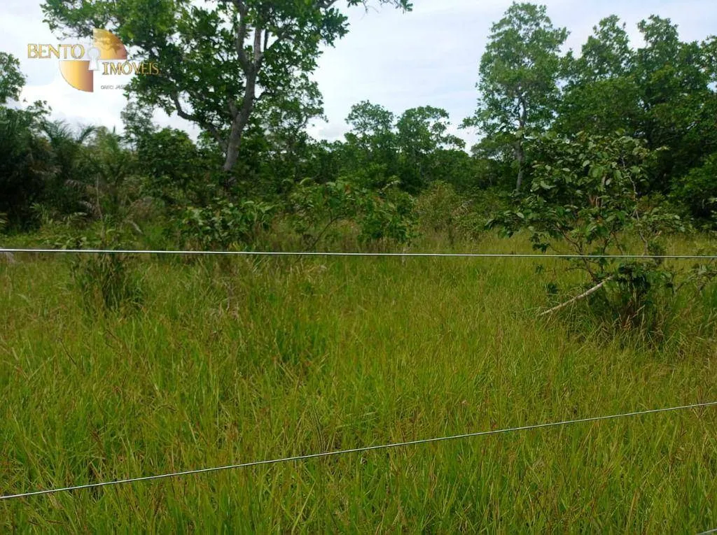 Fazenda à venda de 226 ha em Santo Antônio do Leverger, MT, Brasil