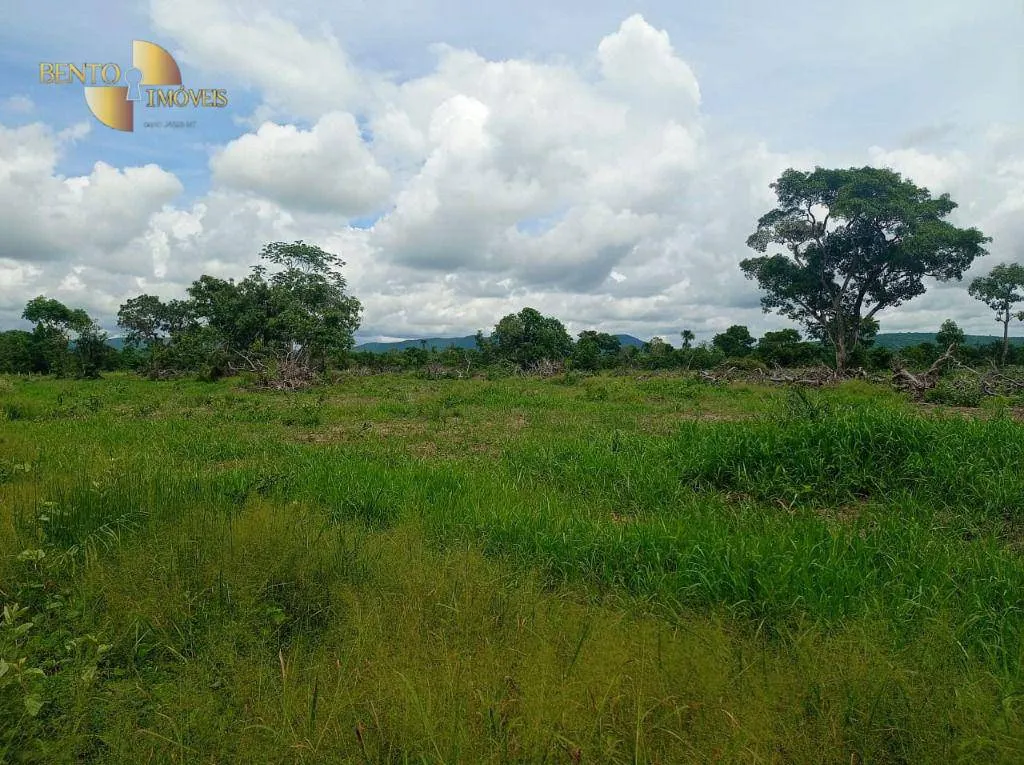 Fazenda à venda de 226 ha em Santo Antônio do Leverger, MT, Brasil