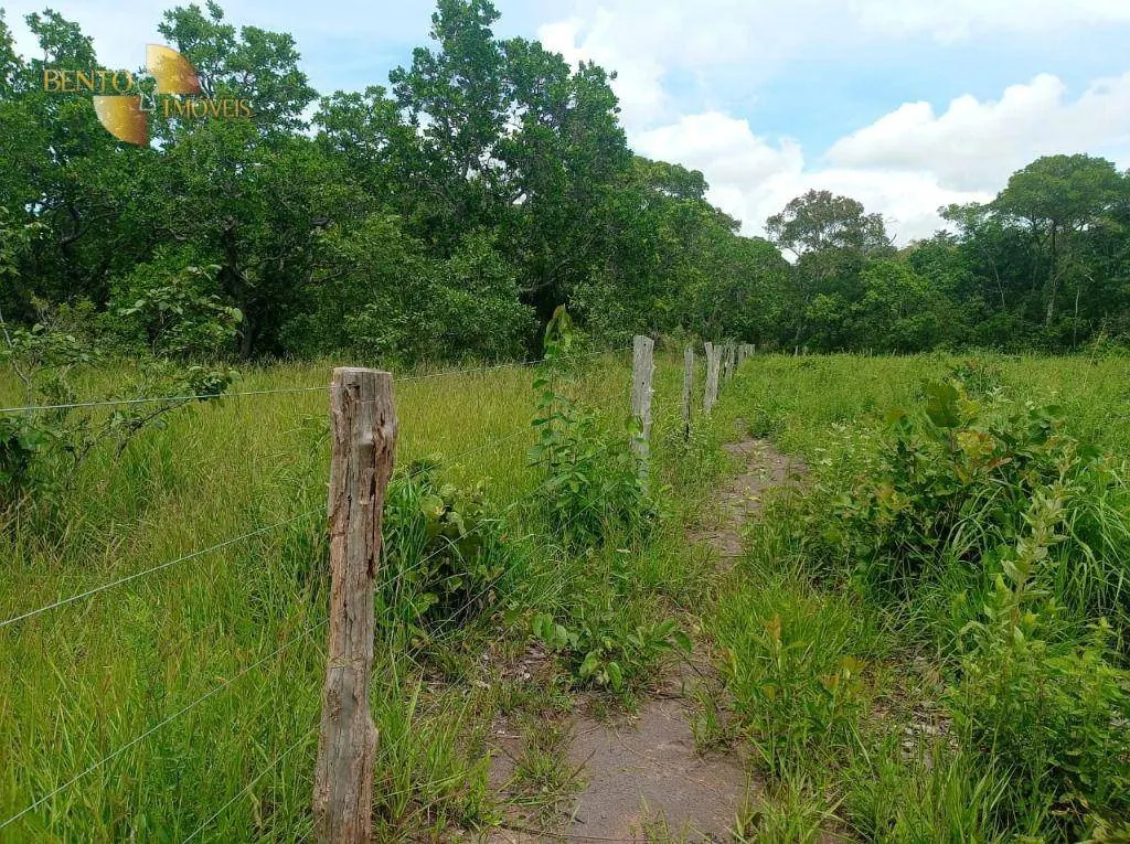 Fazenda à venda de 226 ha em Santo Antônio do Leverger, MT, Brasil