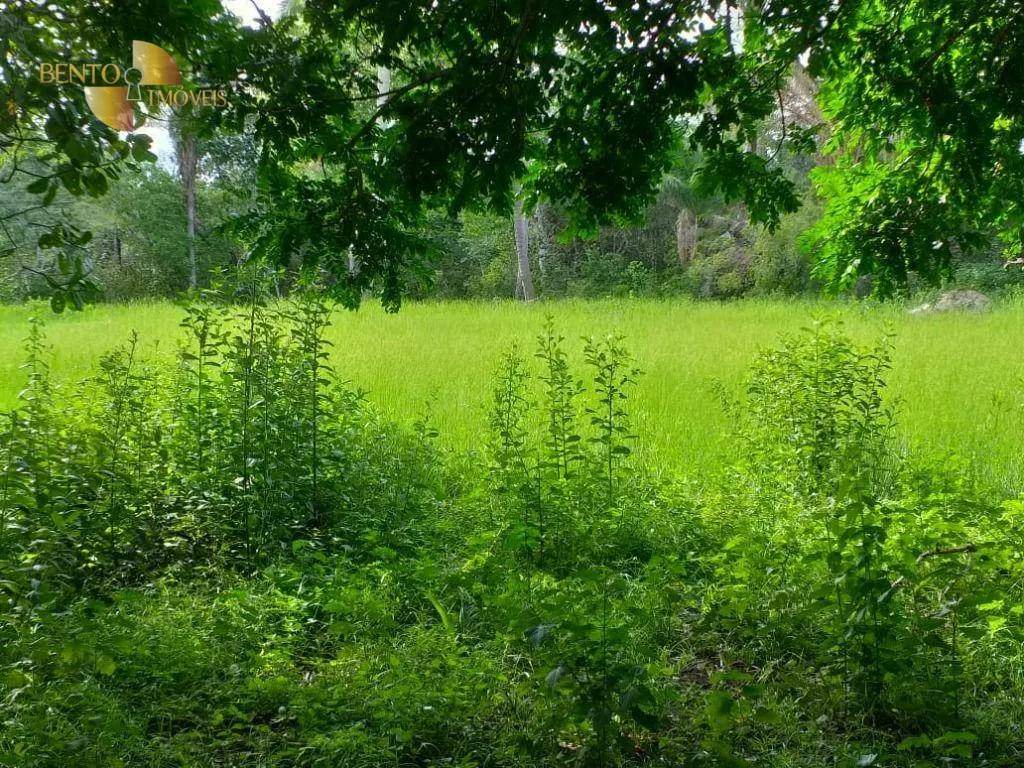 Fazenda à venda de 226 ha em Santo Antônio do Leverger, MT, Brasil