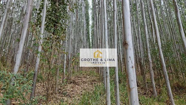 Fazenda à venda e para Arrendar de 144 ha em Taubaté, SP, Brasil