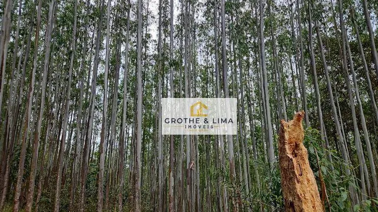 Fazenda à venda e para Arrendar de 144 ha em Taubaté, SP, Brasil