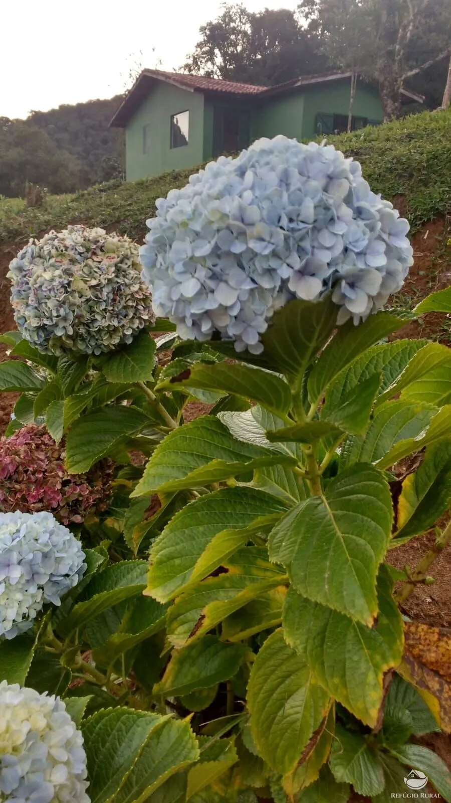 Sítio à venda de 5 ha em São José dos Campos, SP, Brasil