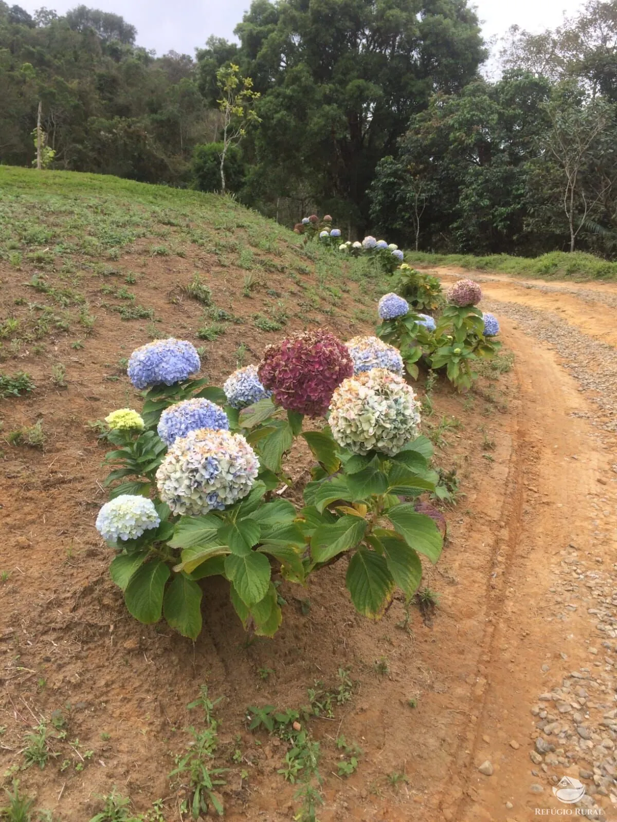 Sítio à venda de 5 ha em São José dos Campos, SP, Brasil