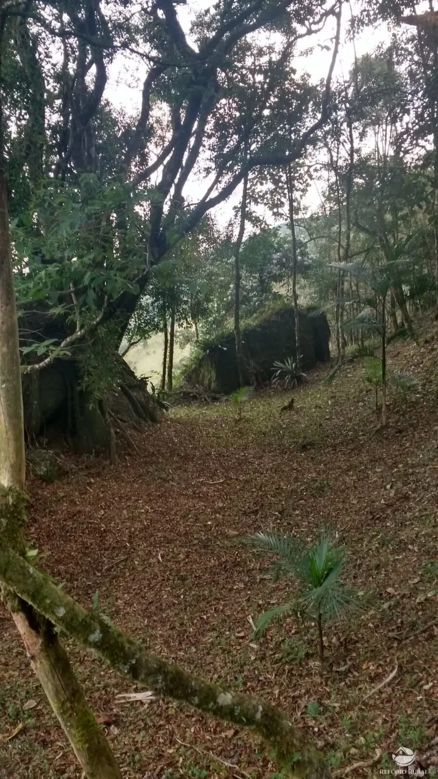 Sítio à venda de 5 ha em São José dos Campos, SP, Brasil