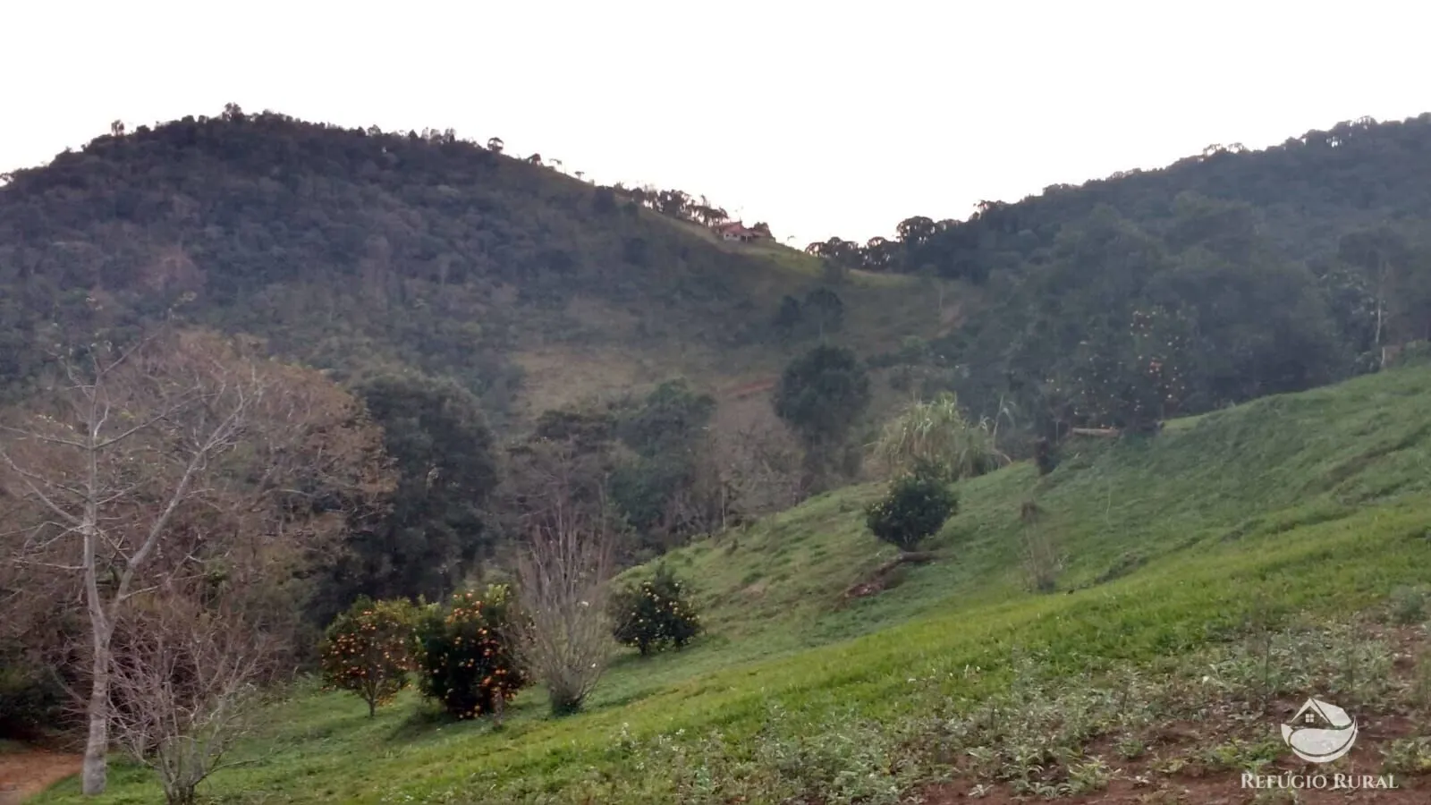 Sítio à venda de 5 ha em São José dos Campos, SP, Brasil