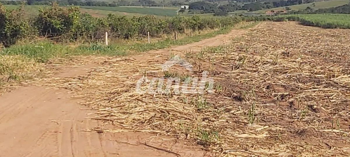 Fazenda à venda de 119 ha em Vargem Grande do Sul, SP, Brasil