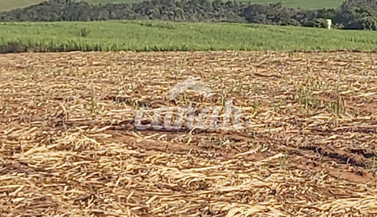 Fazenda à venda de 119 ha em Vargem Grande do Sul, SP, Brasil