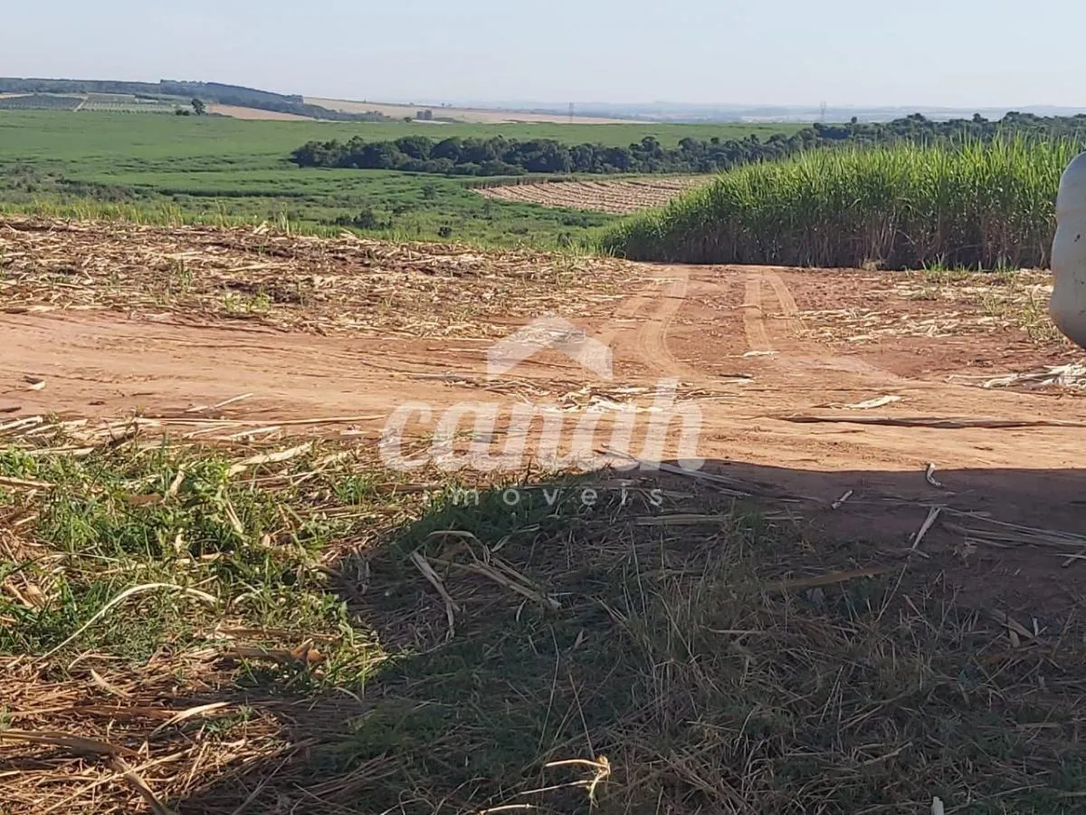 Fazenda à venda de 119 ha em Vargem Grande do Sul, SP, Brasil