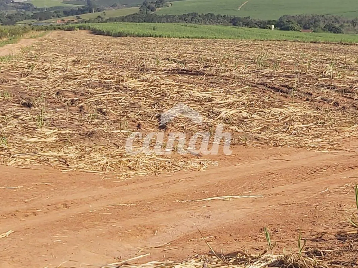 Fazenda à venda de 119 ha em Vargem Grande do Sul, SP, Brasil