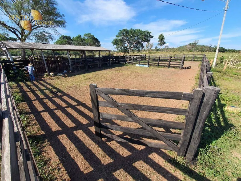 Farm for sale of 4,823 acres in Poconé, MT, Brazil